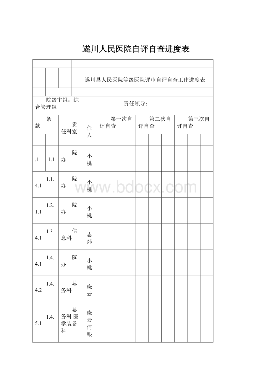 遂川人民医院自评自查进度表.docx