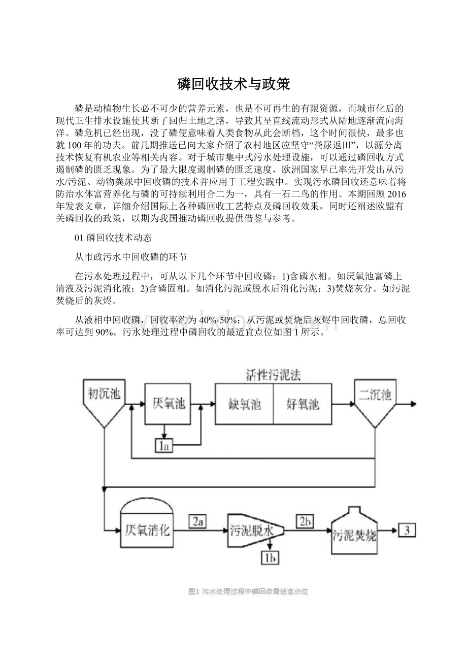 磷回收技术与政策Word格式.docx