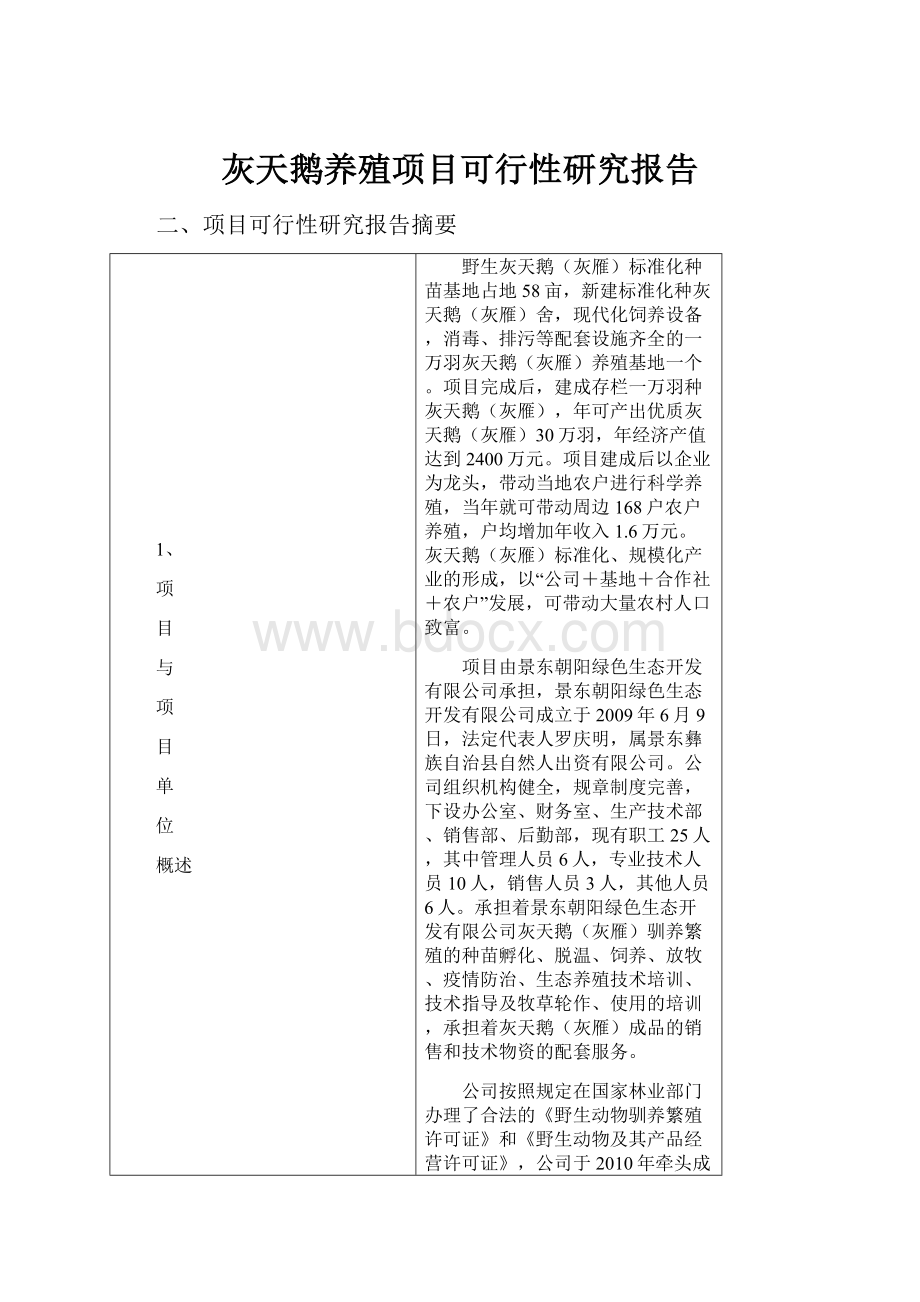 灰天鹅养殖项目可行性研究报告.docx_第1页