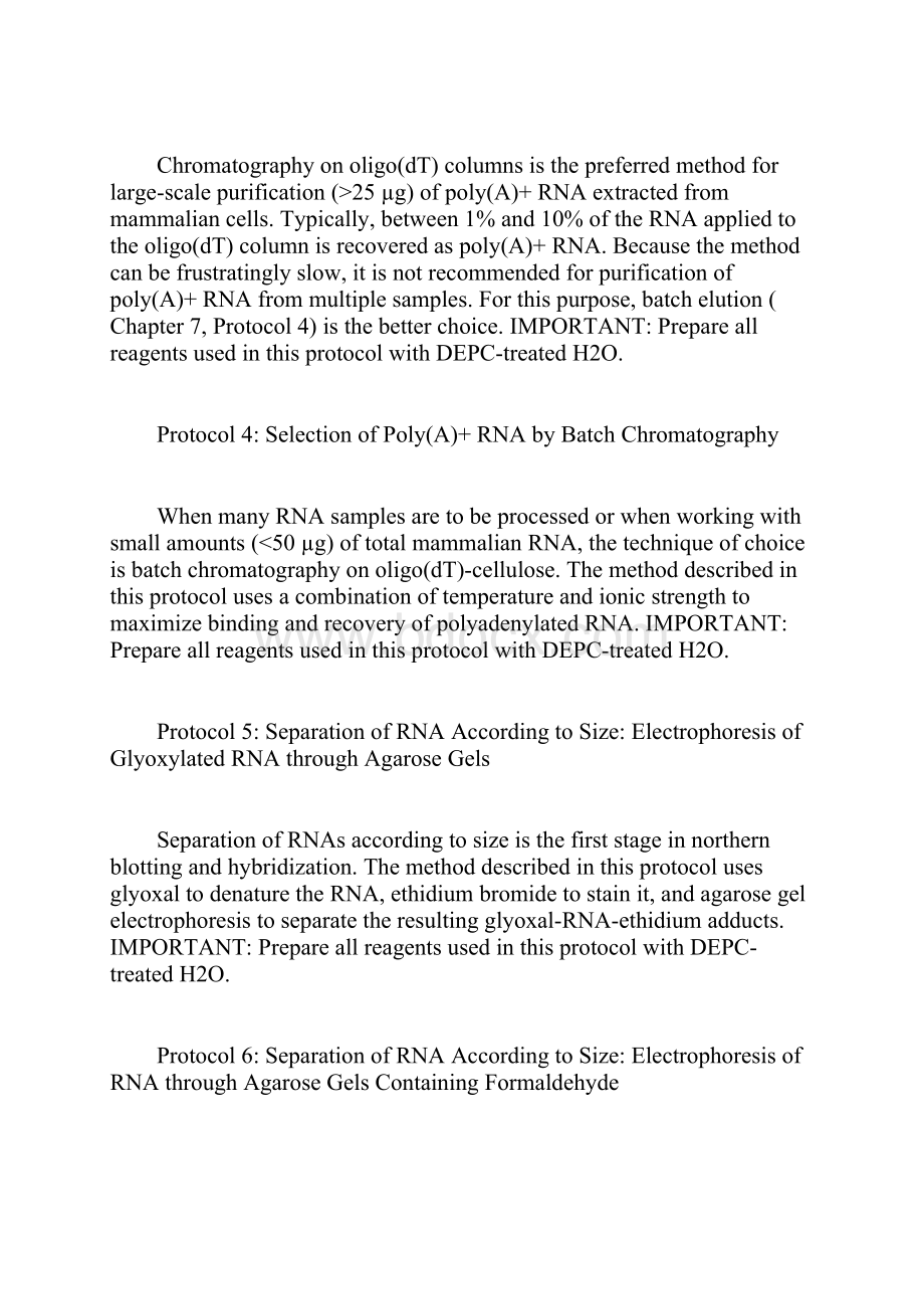 Molecular cloning chapter 07Word格式.docx_第2页