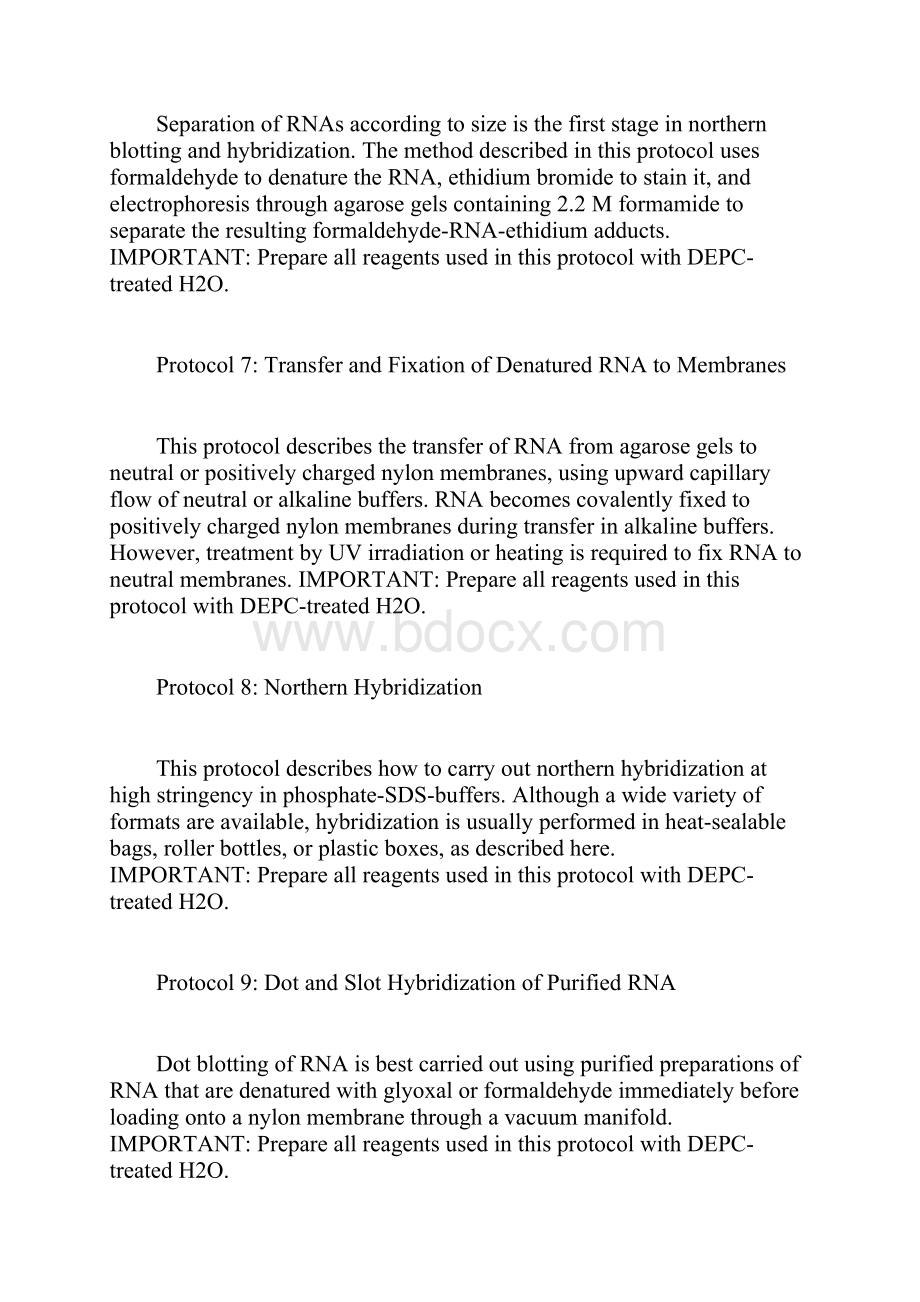 Molecular cloning chapter 07Word格式.docx_第3页