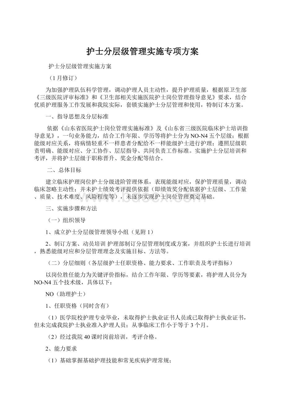 护士分层级管理实施专项方案文档格式.docx