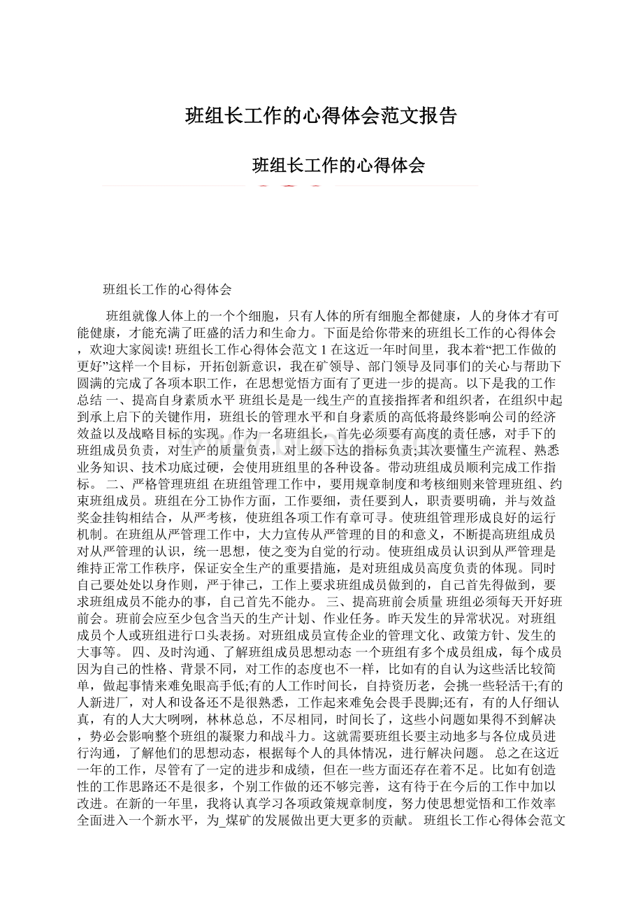 班组长工作的心得体会范文报告.docx