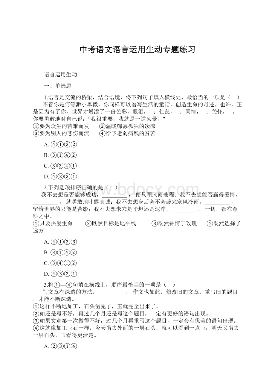 中考语文语言运用生动专题练习.docx