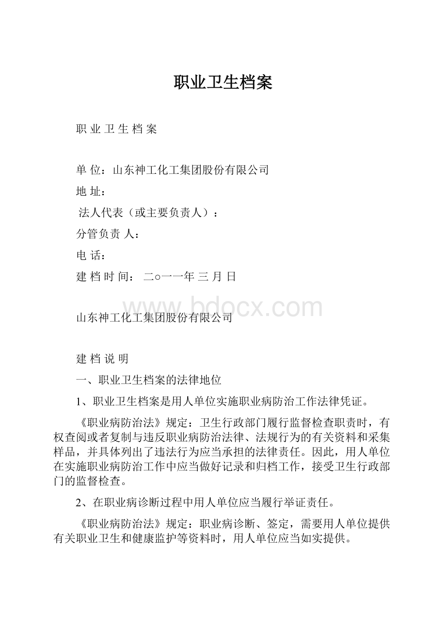 职业卫生档案文档格式.docx