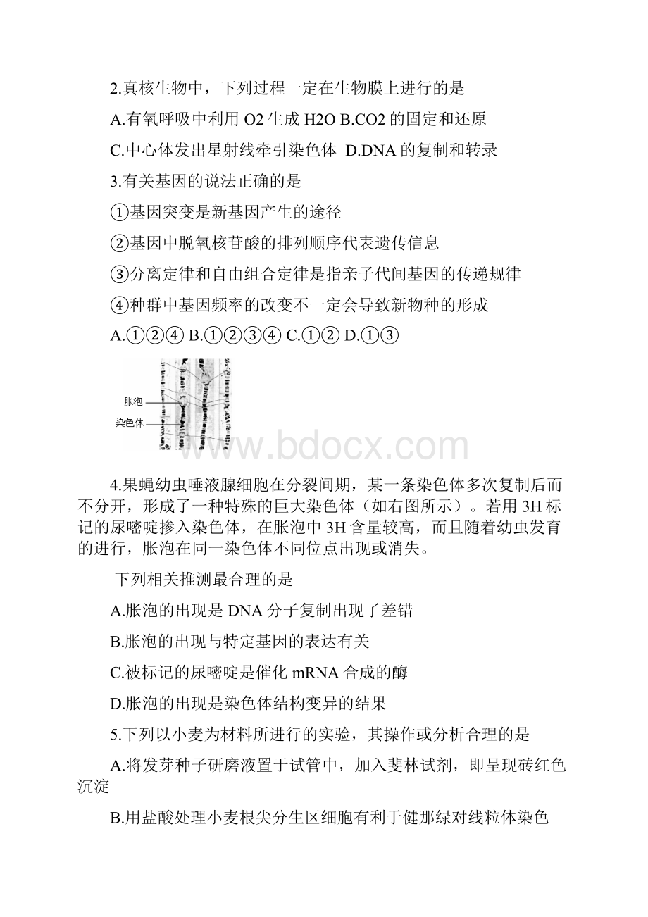 揭阳市学年度第一学期高三学业水平考试.docx_第2页