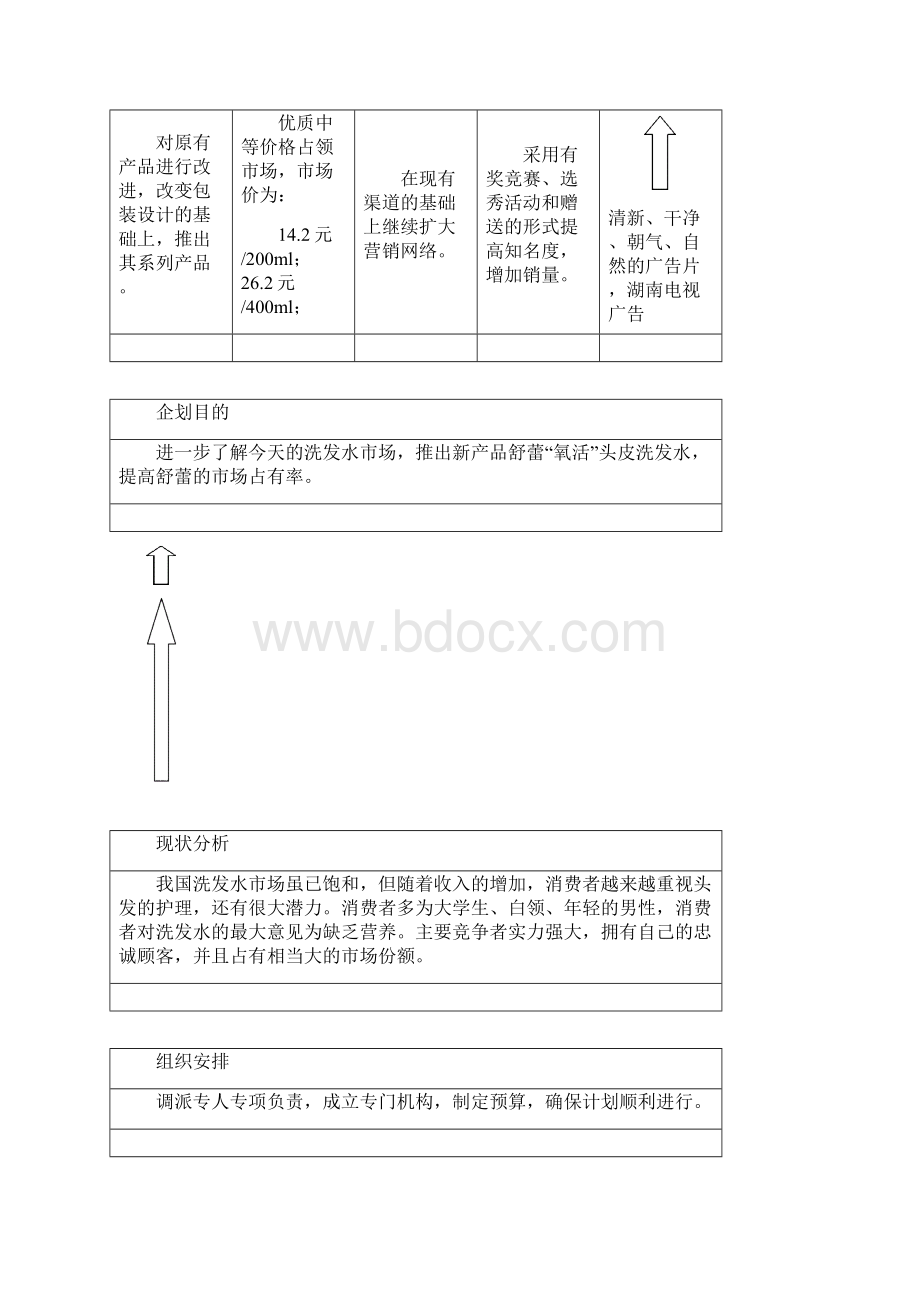 XX洗发水市场营销企业规划.docx_第3页