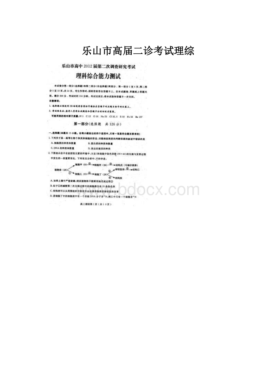 乐山市高届二诊考试理综Word文档格式.docx_第1页