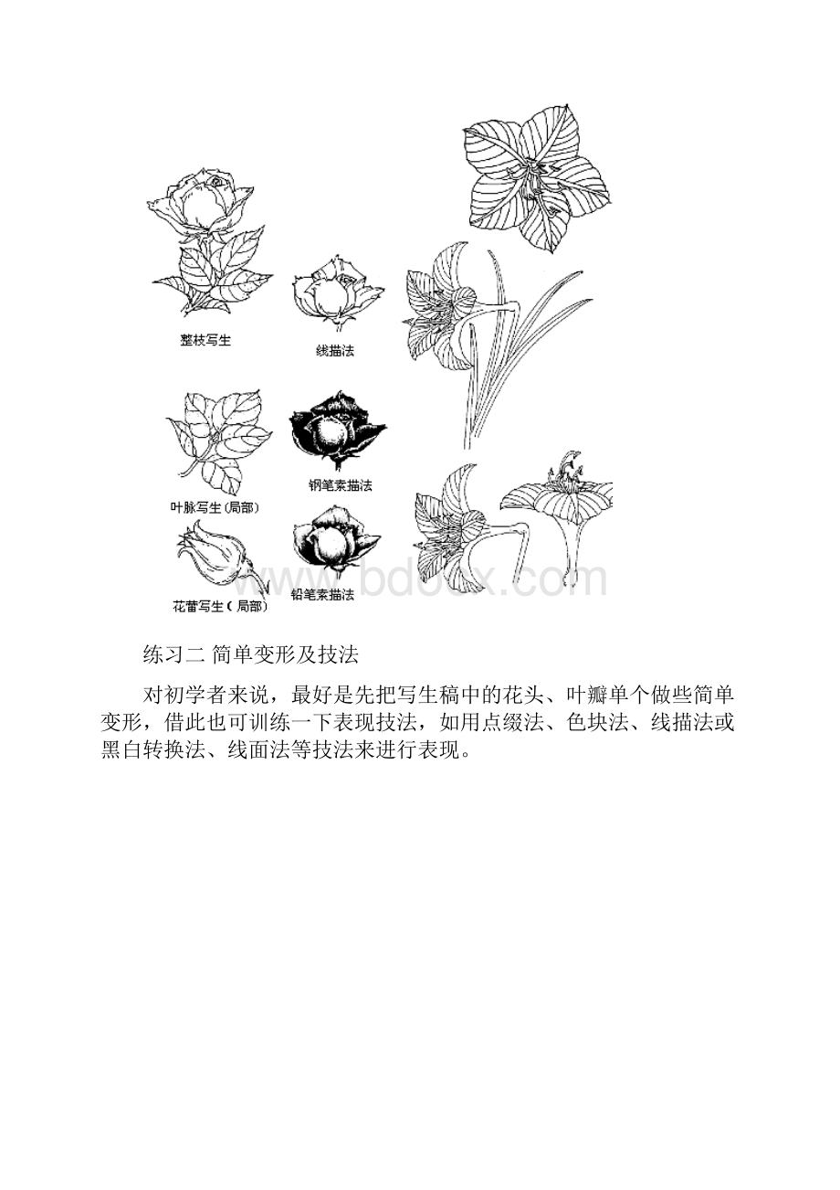 美术基础图案Word格式文档下载.docx_第2页