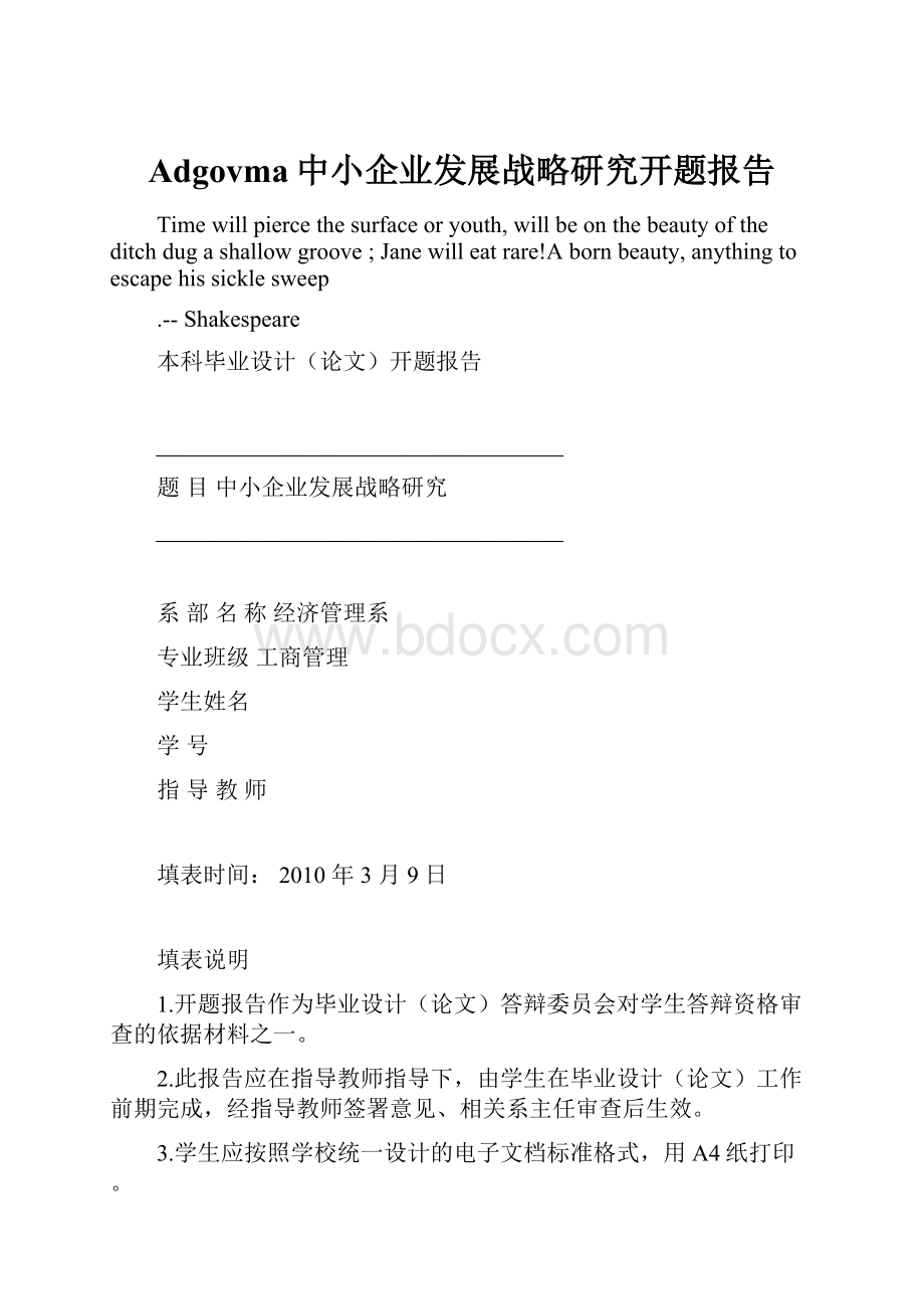 Adgovma中小企业发展战略研究开题报告Word格式文档下载.docx