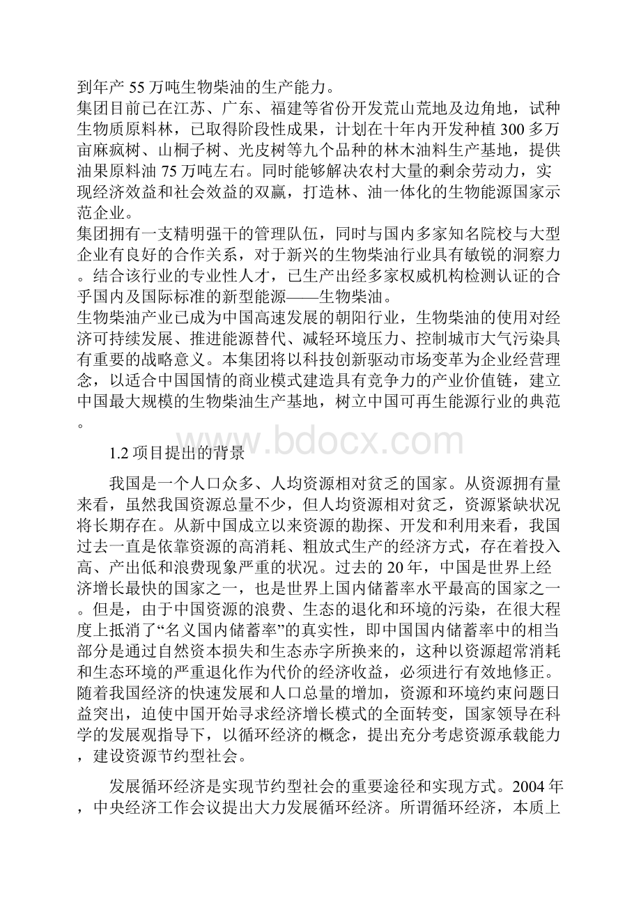 恒顺达20万吨生物柴油生产线项目可行性分析报告Word文档格式.docx_第2页