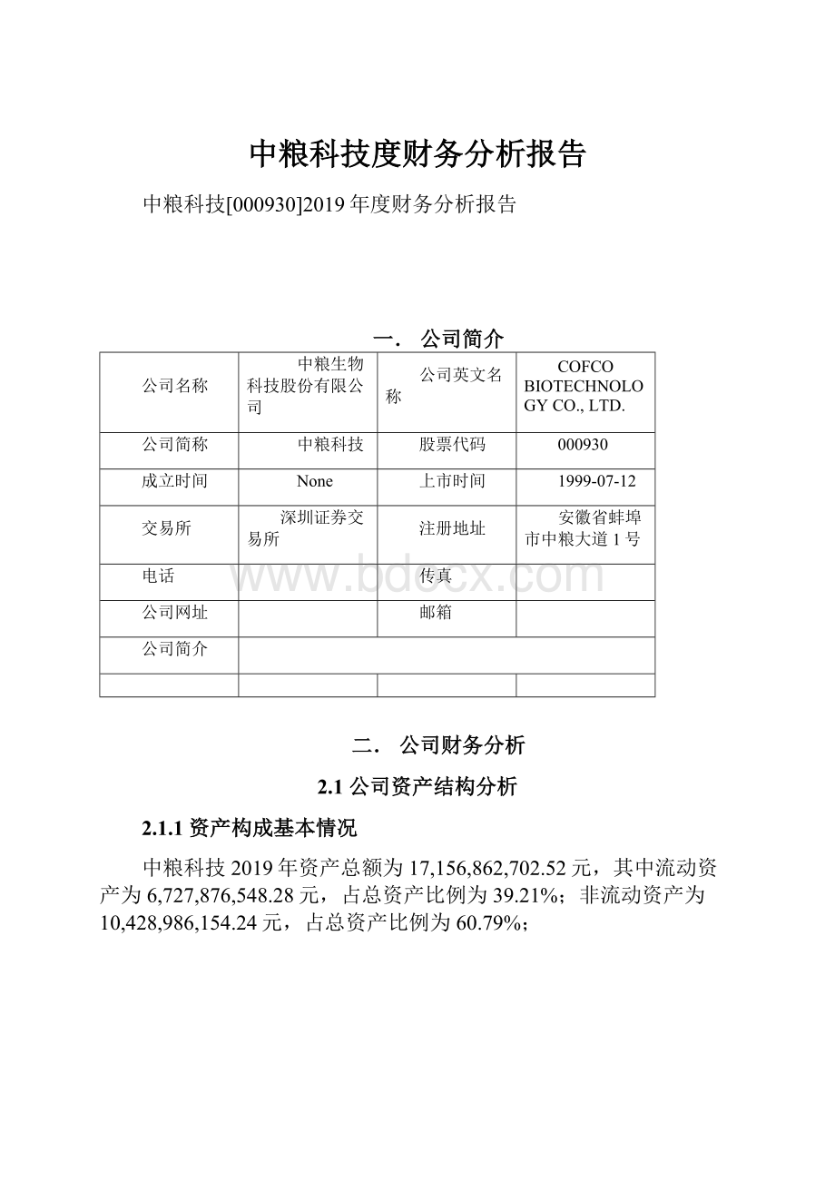 中粮科技度财务分析报告文档格式.docx_第1页