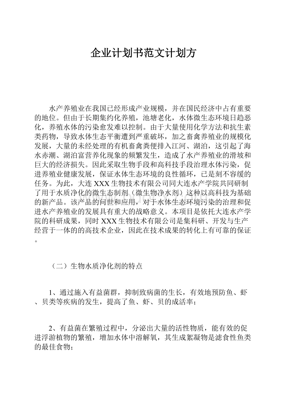 企业计划书范文计划方Word格式文档下载.docx