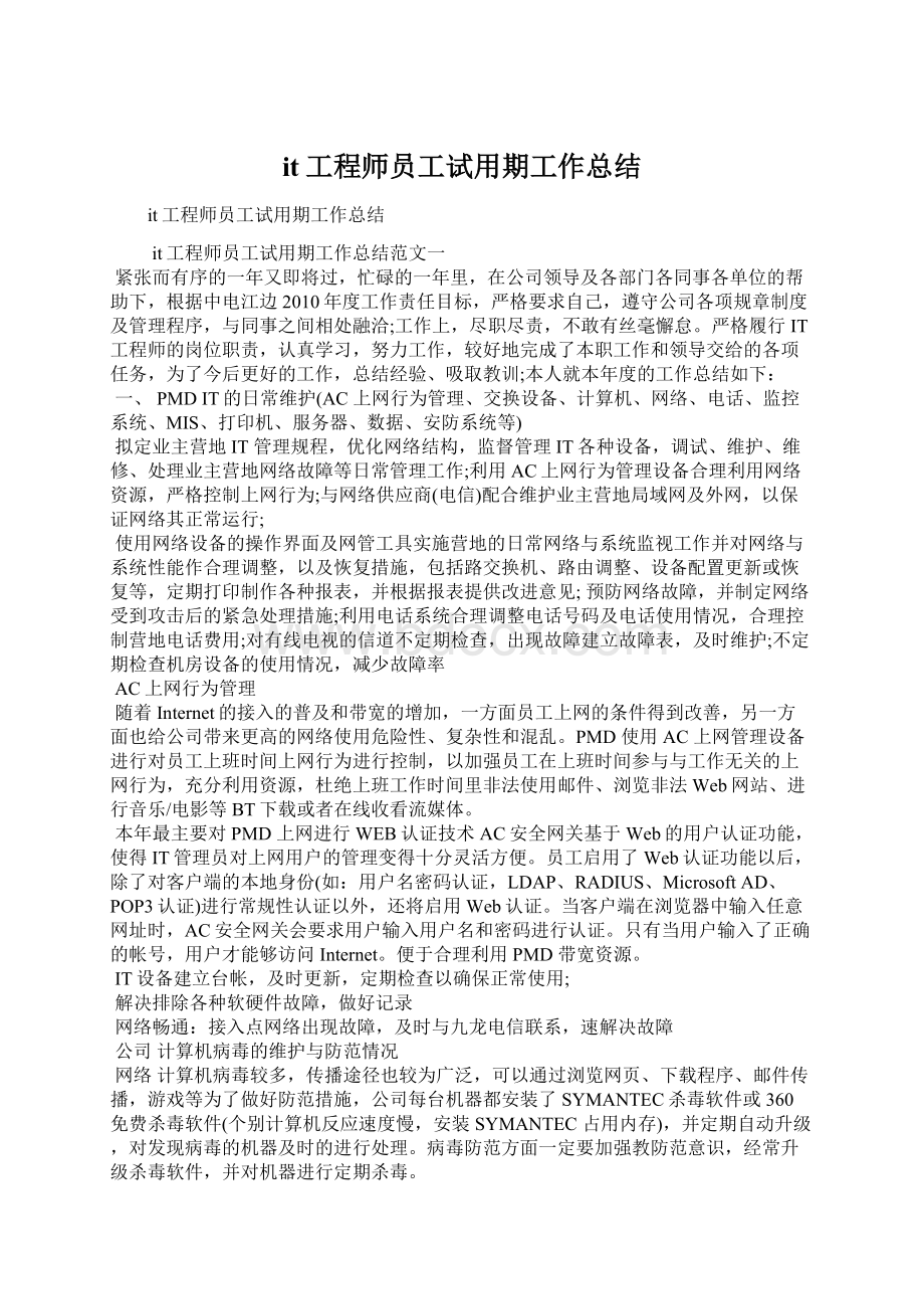 it工程师员工试用期工作总结Word格式文档下载.docx