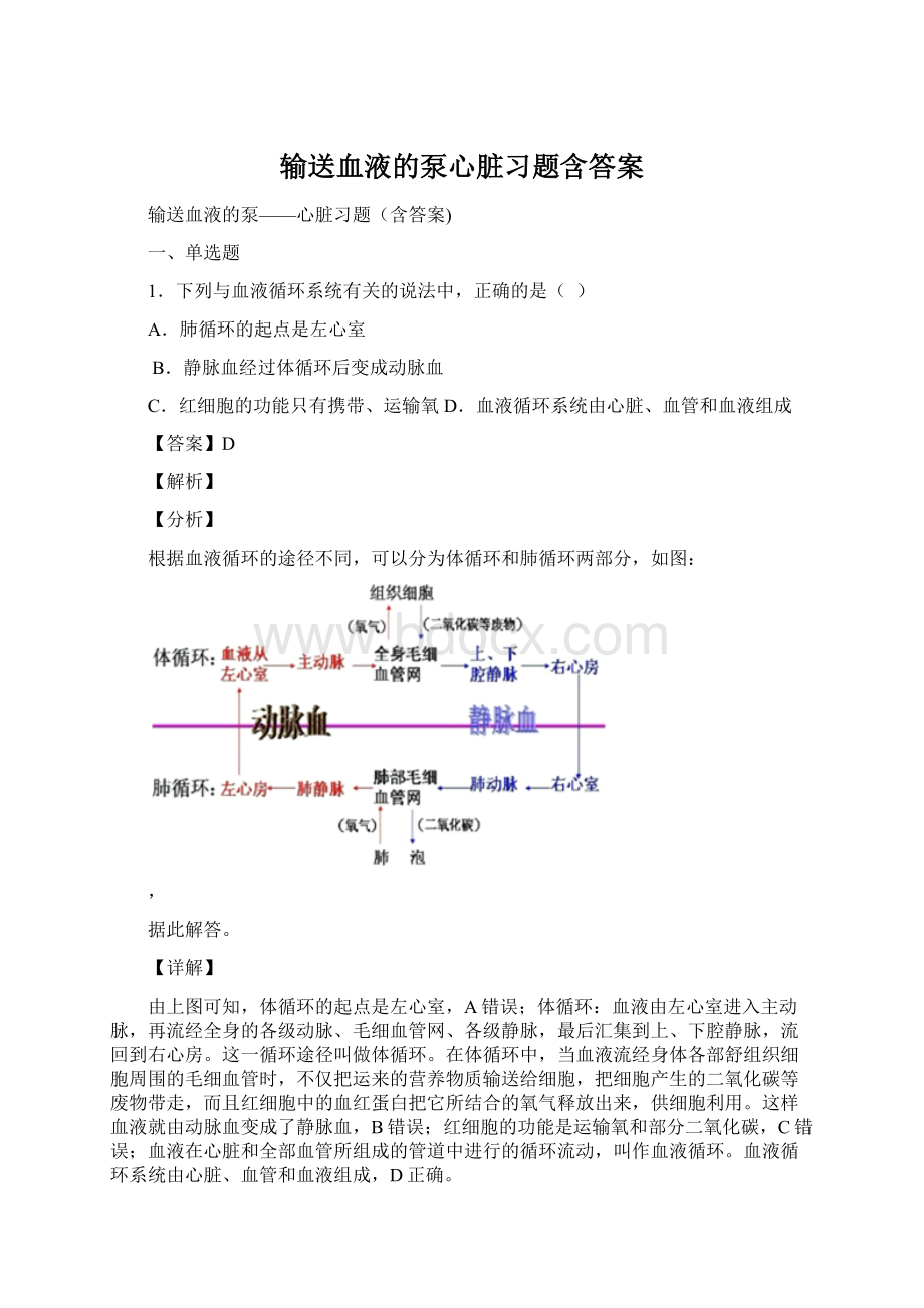 输送血液的泵心脏习题含答案Word格式.docx