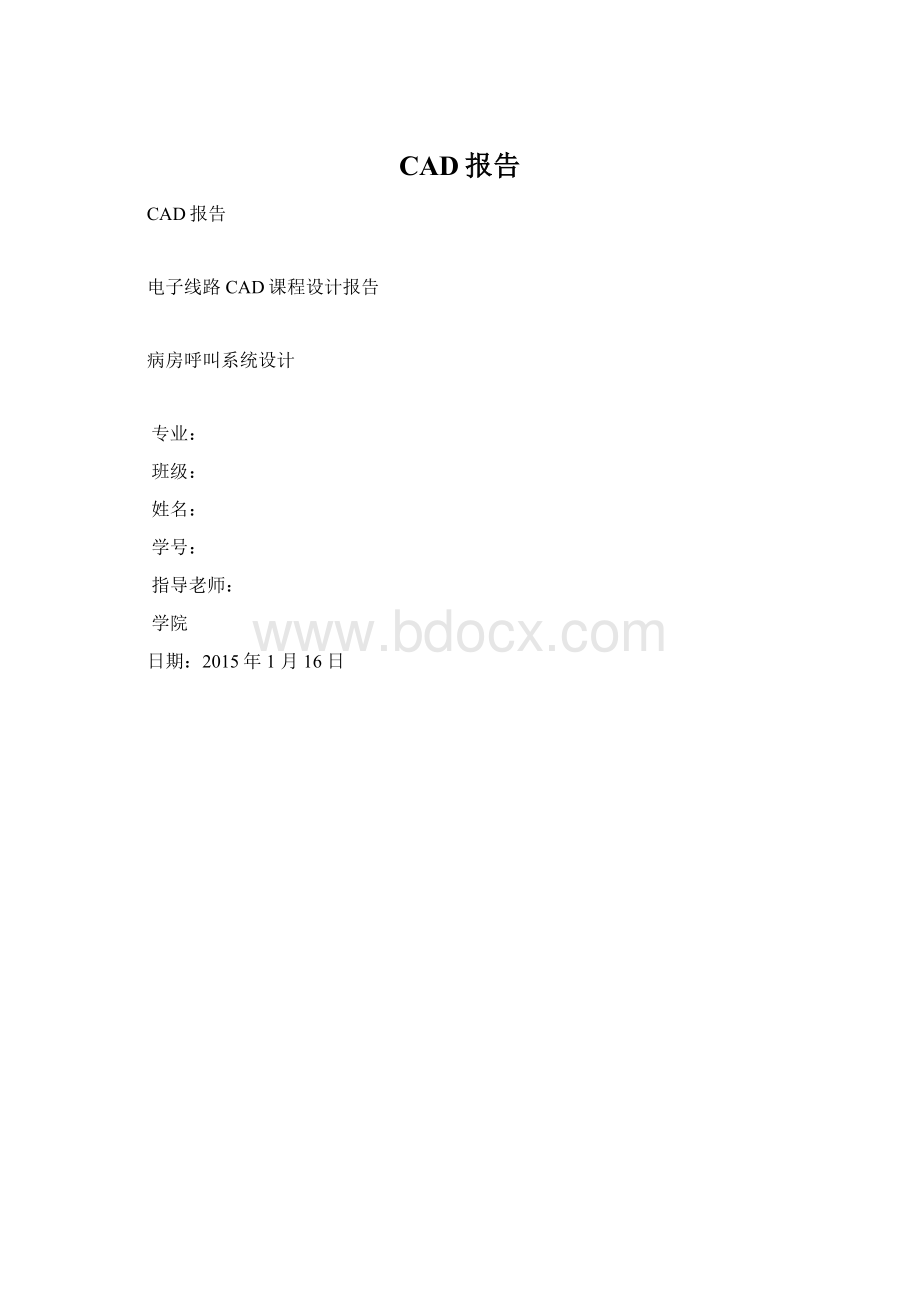 CAD报告Word格式文档下载.docx