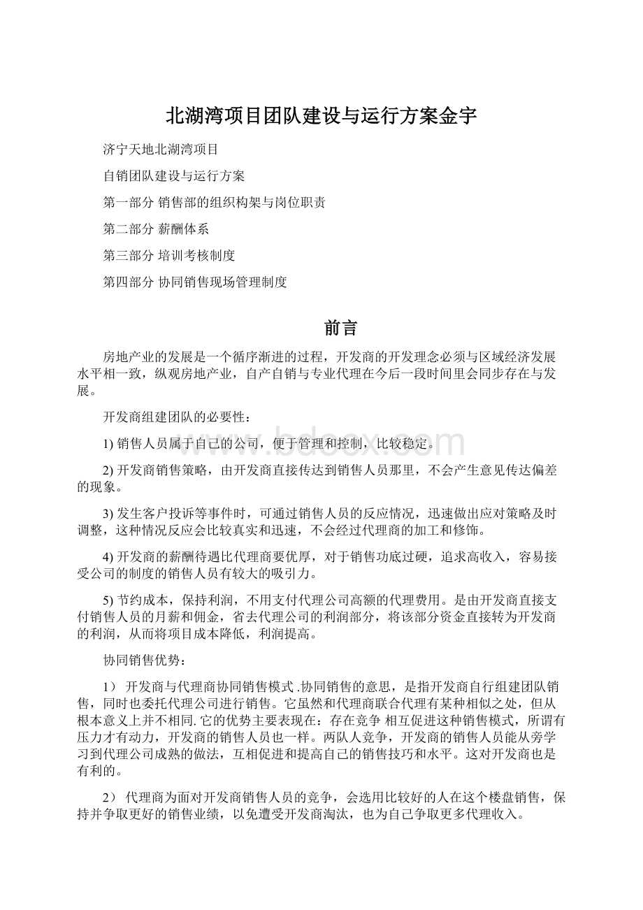 北湖湾项目团队建设与运行方案金宇文档格式.docx