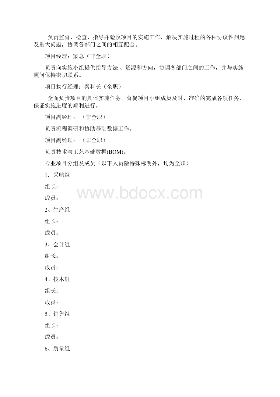 IT系统项目ERP项目管理制度范例Word文件下载.docx_第3页