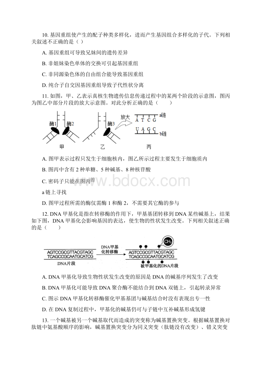 山东省菏泽市学年高一生物下学期期末考试试题B.docx_第3页