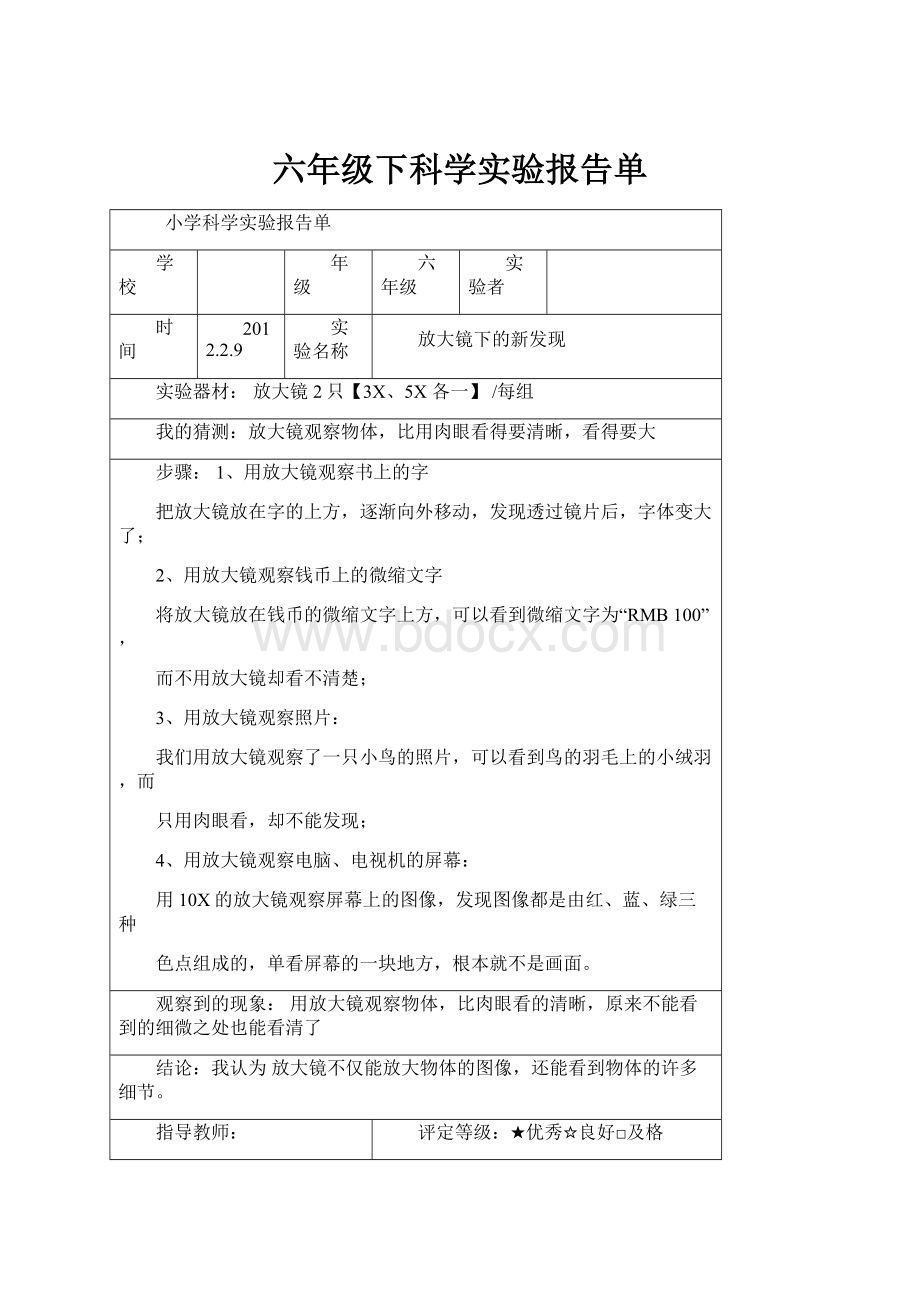 六年级下科学实验报告单Word文档格式.docx