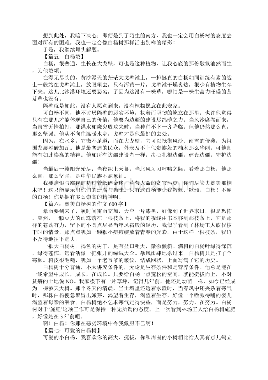 关于白杨树作文300字.docx_第3页