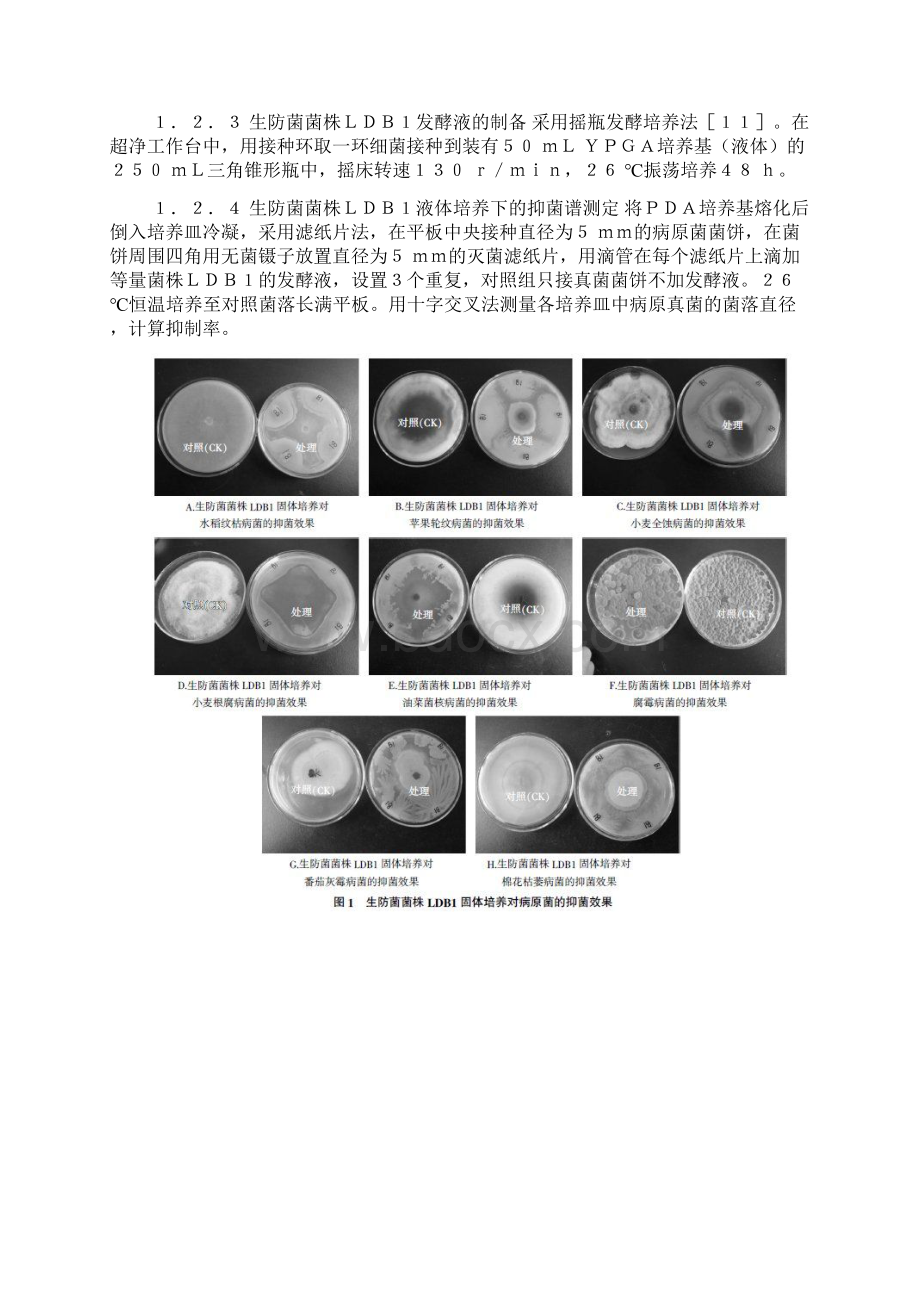 生防菌菌株LDB1对植物病原真菌的抑菌谱.docx_第3页