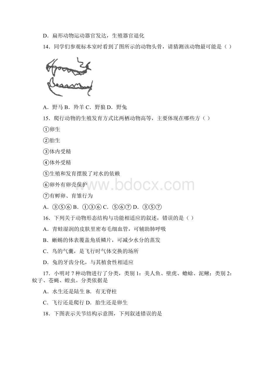 深圳市福景外国语学校人教部编版八年级初二上册生物 期末测试题及答案.docx_第3页