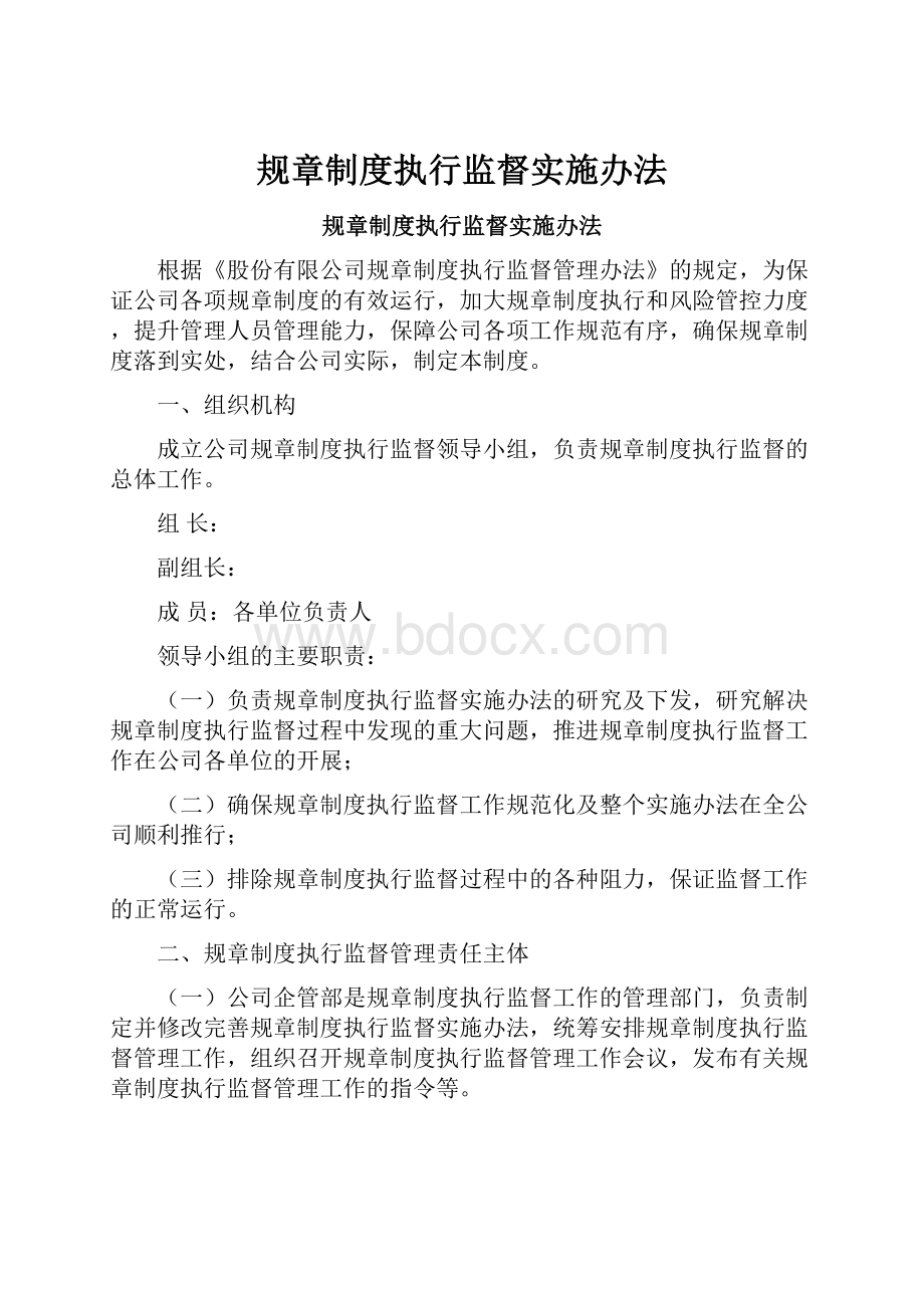 规章制度执行监督实施办法.docx