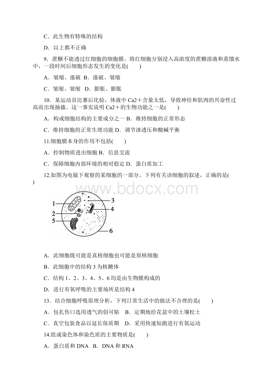 高一上学期期末考试生物试题 含答案Word格式.docx_第3页