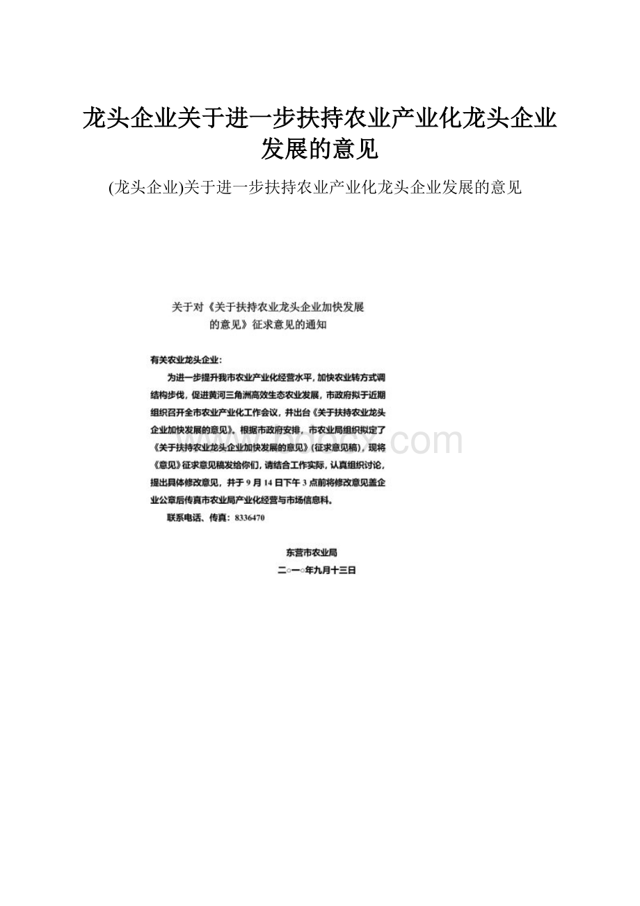 龙头企业关于进一步扶持农业产业化龙头企业发展的意见.docx_第1页