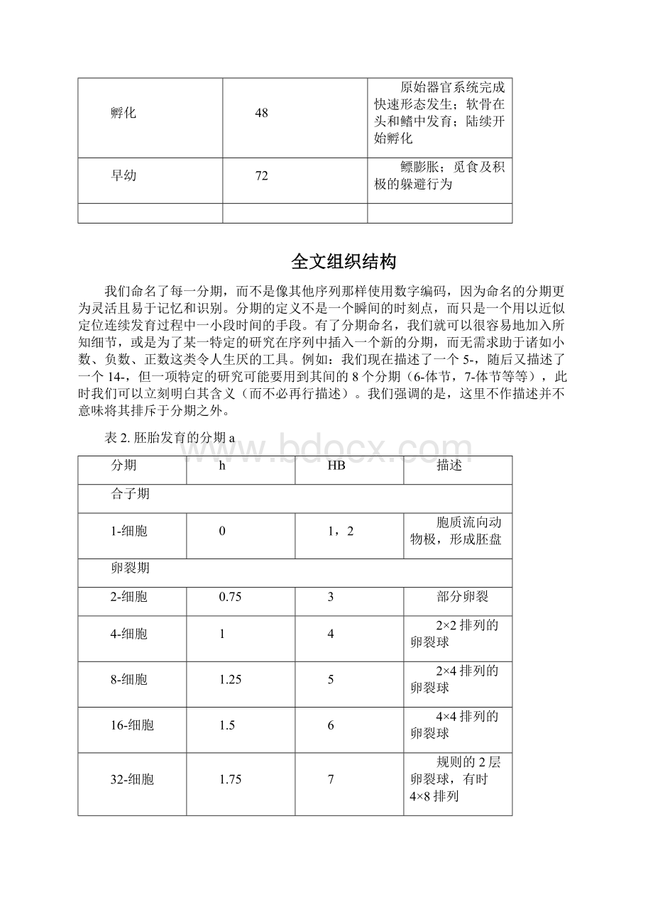 斑马鱼胚胎发育时期Word下载.docx_第3页