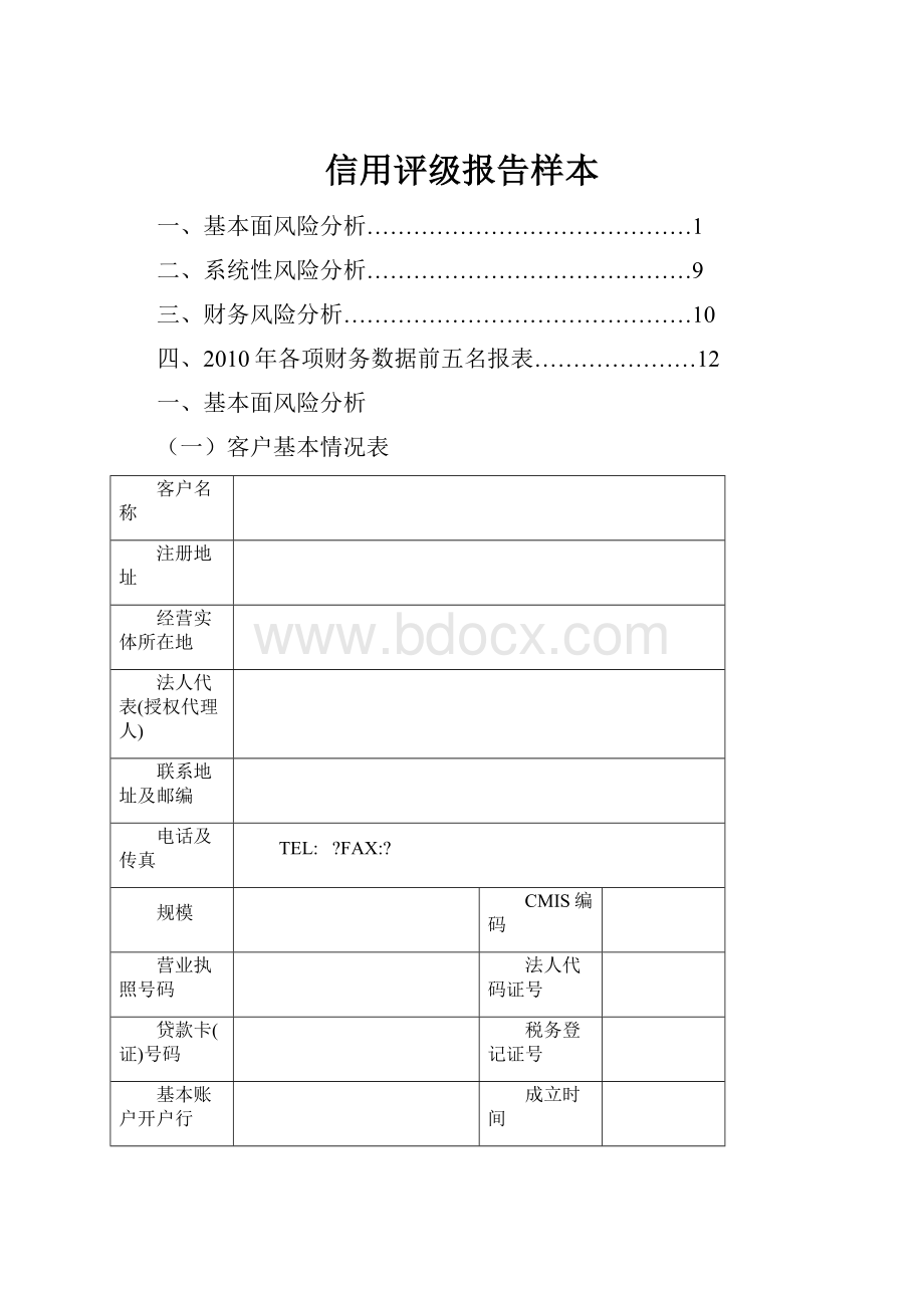 信用评级报告样本Word文档格式.docx_第1页