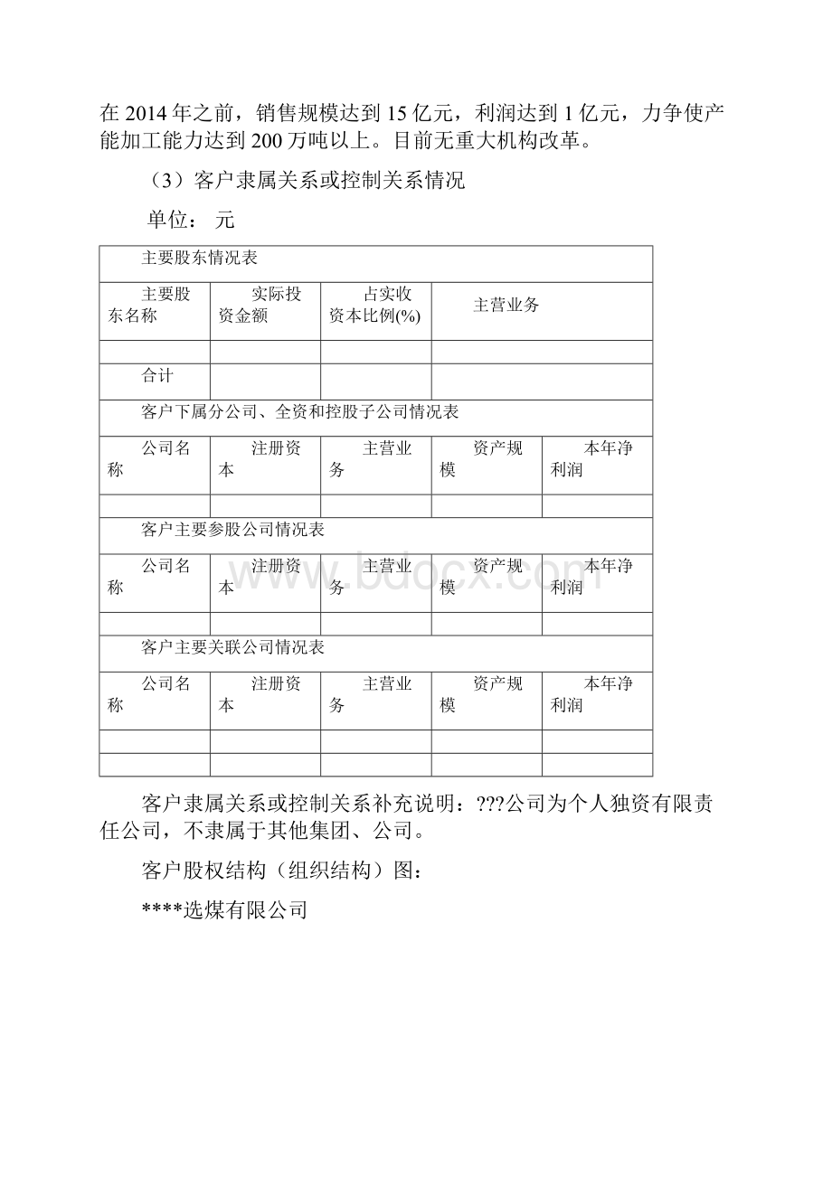 信用评级报告样本Word文档格式.docx_第3页