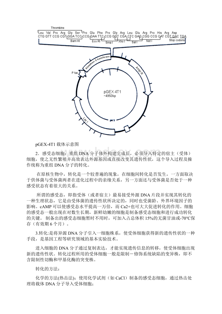 碱裂解法提取质粒配方最好地说明书.docx_第2页