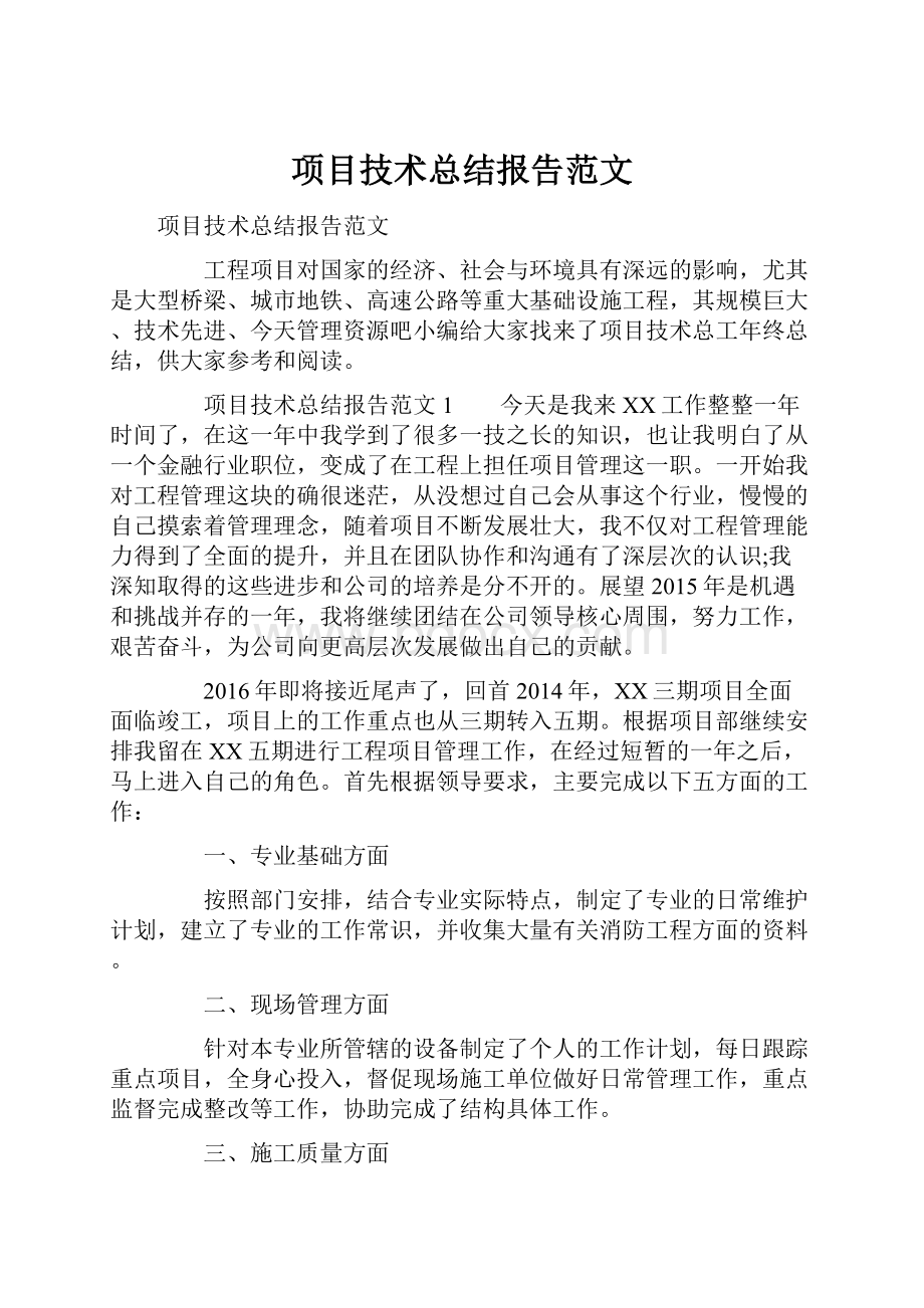 项目技术总结报告范文文档格式.docx_第1页