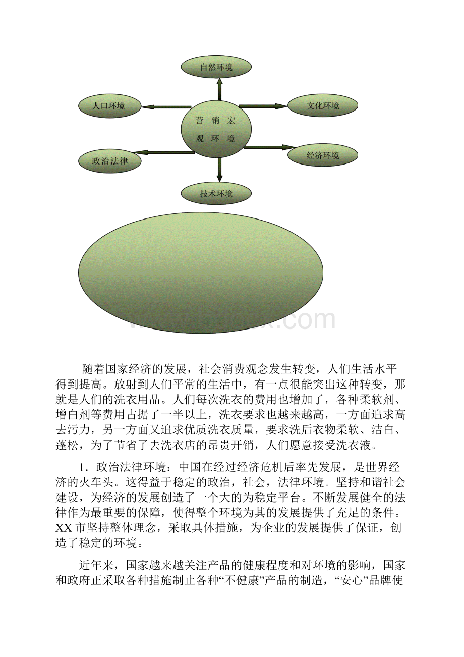 整编XX品牌洗衣液新品上市推广营销策划方案.docx_第2页