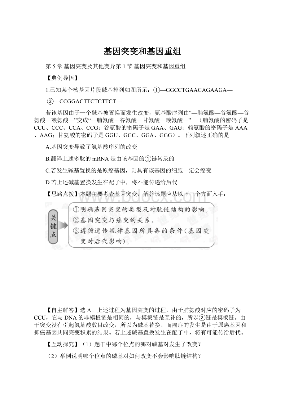 基因突变和基因重组Word格式.docx