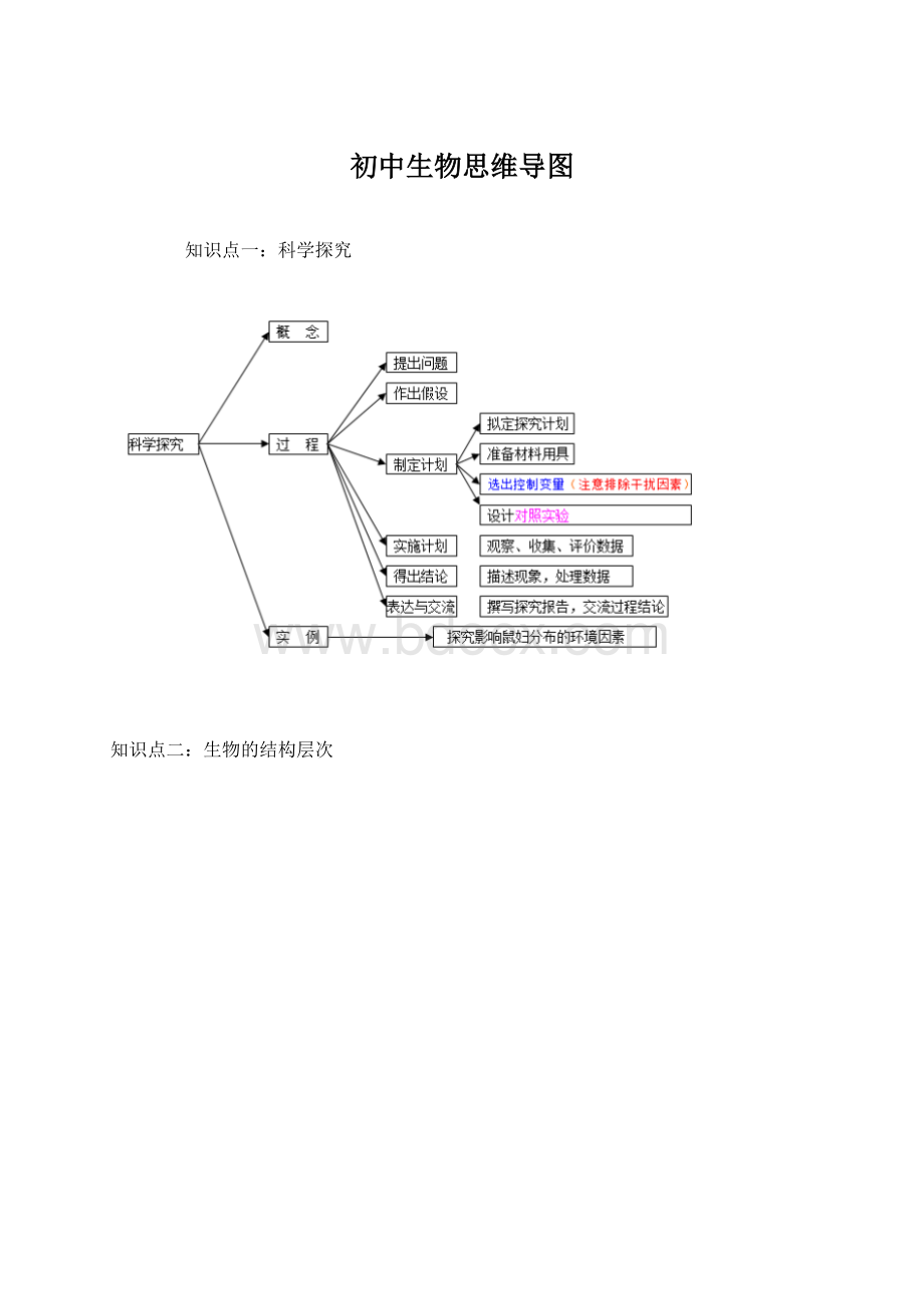 初中生物思维导图.docx