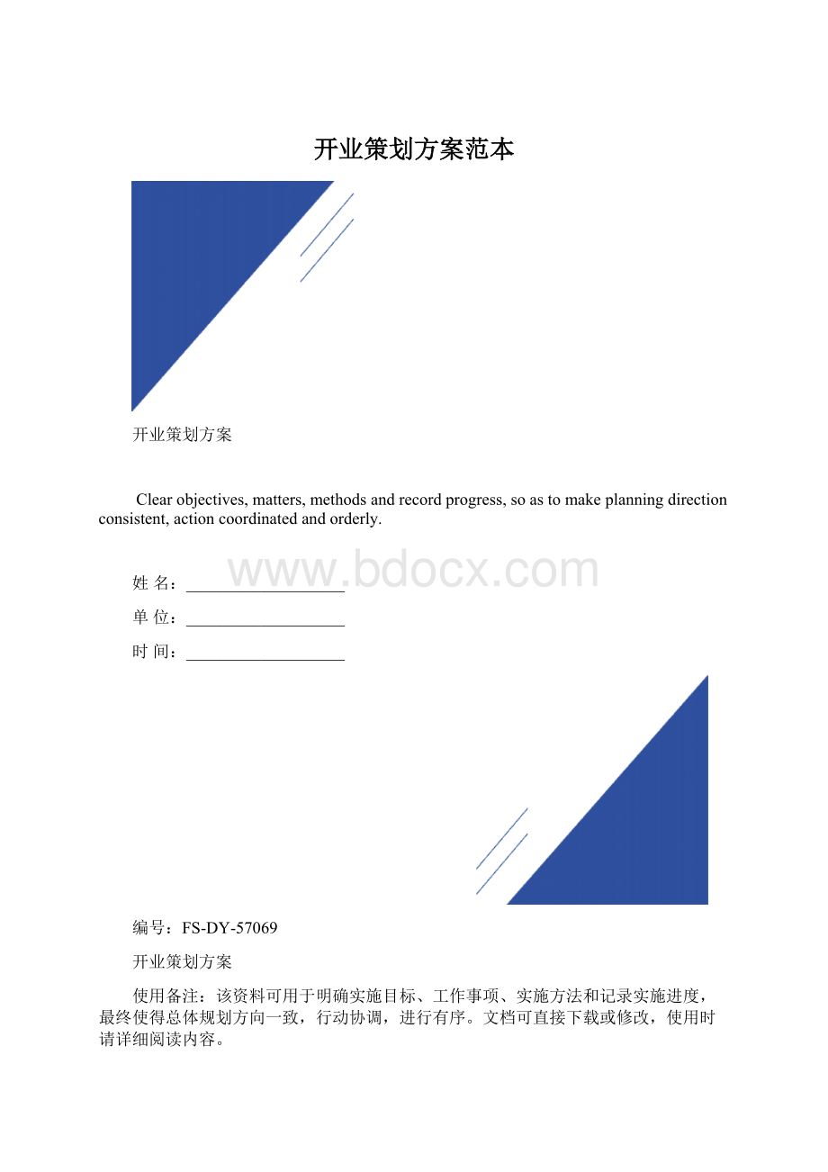 开业策划方案范本文档格式.docx