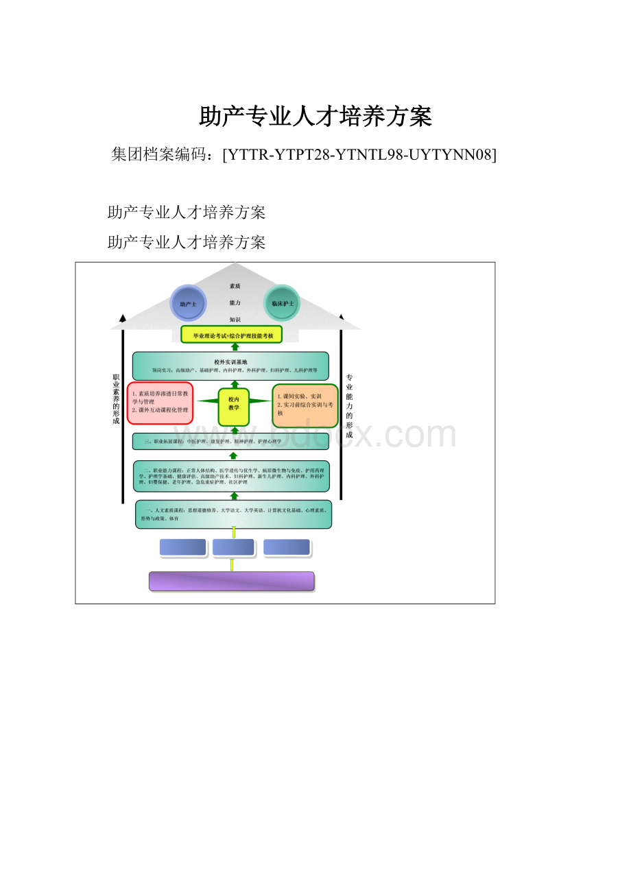 助产专业人才培养方案Word文件下载.docx_第1页