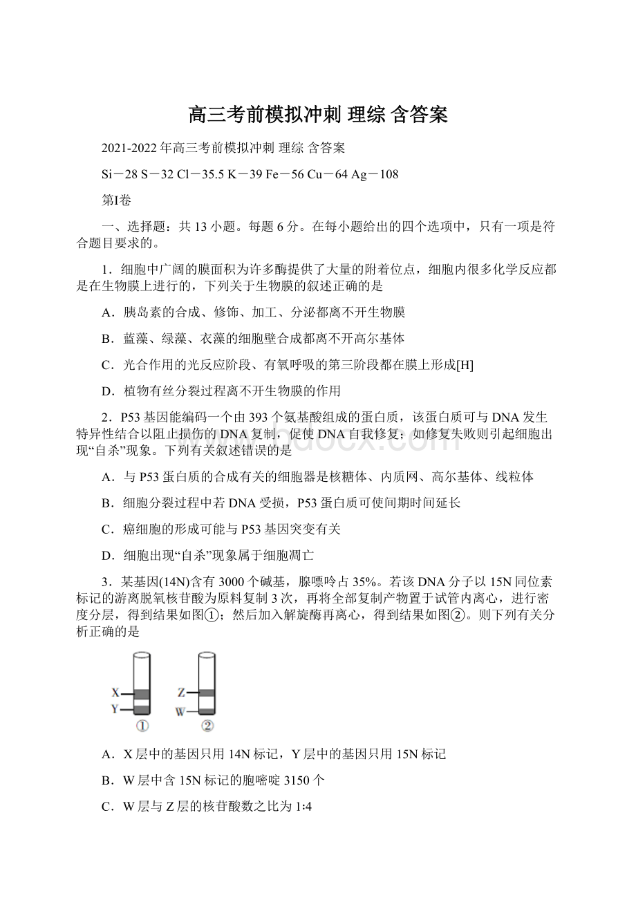 高三考前模拟冲刺 理综 含答案Word格式.docx_第1页