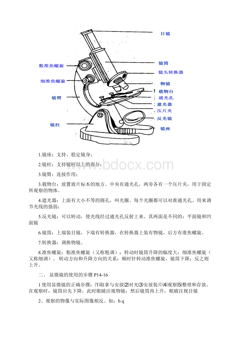 七年级济南版生物复习提纲上册.docx_第2页