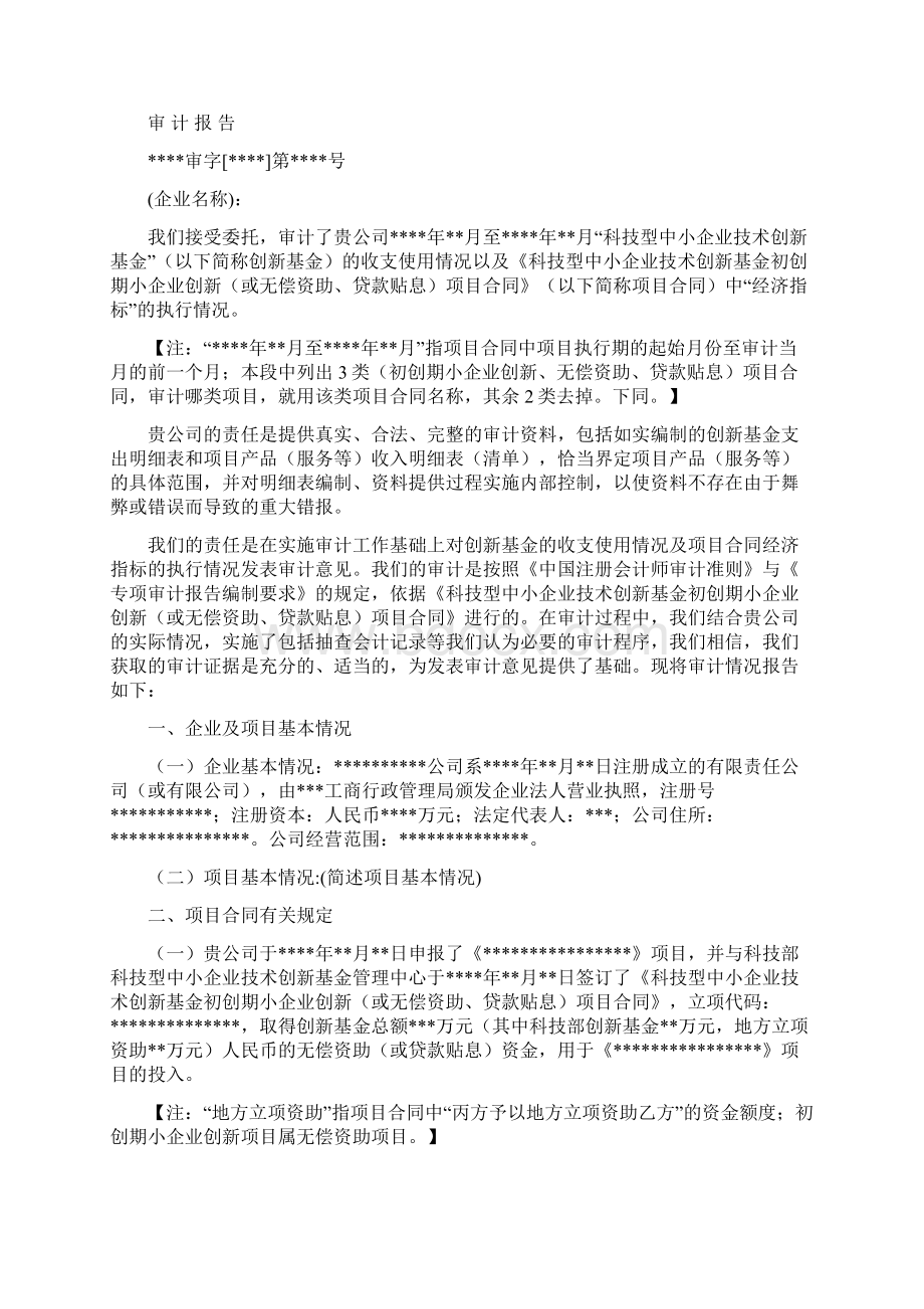 科技部创新基金项目专项审计报告参考样式.docx_第2页