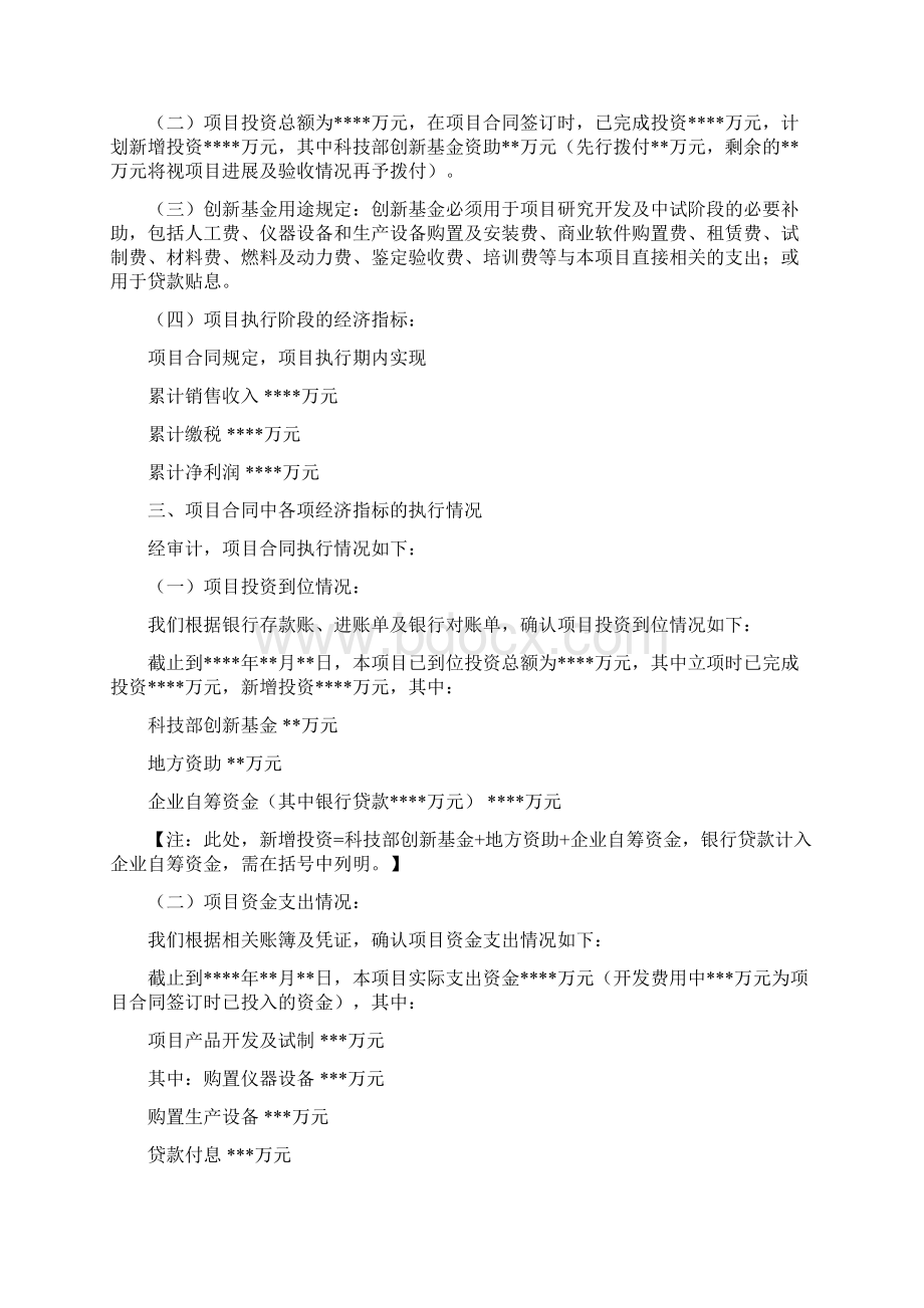 科技部创新基金项目专项审计报告参考样式.docx_第3页