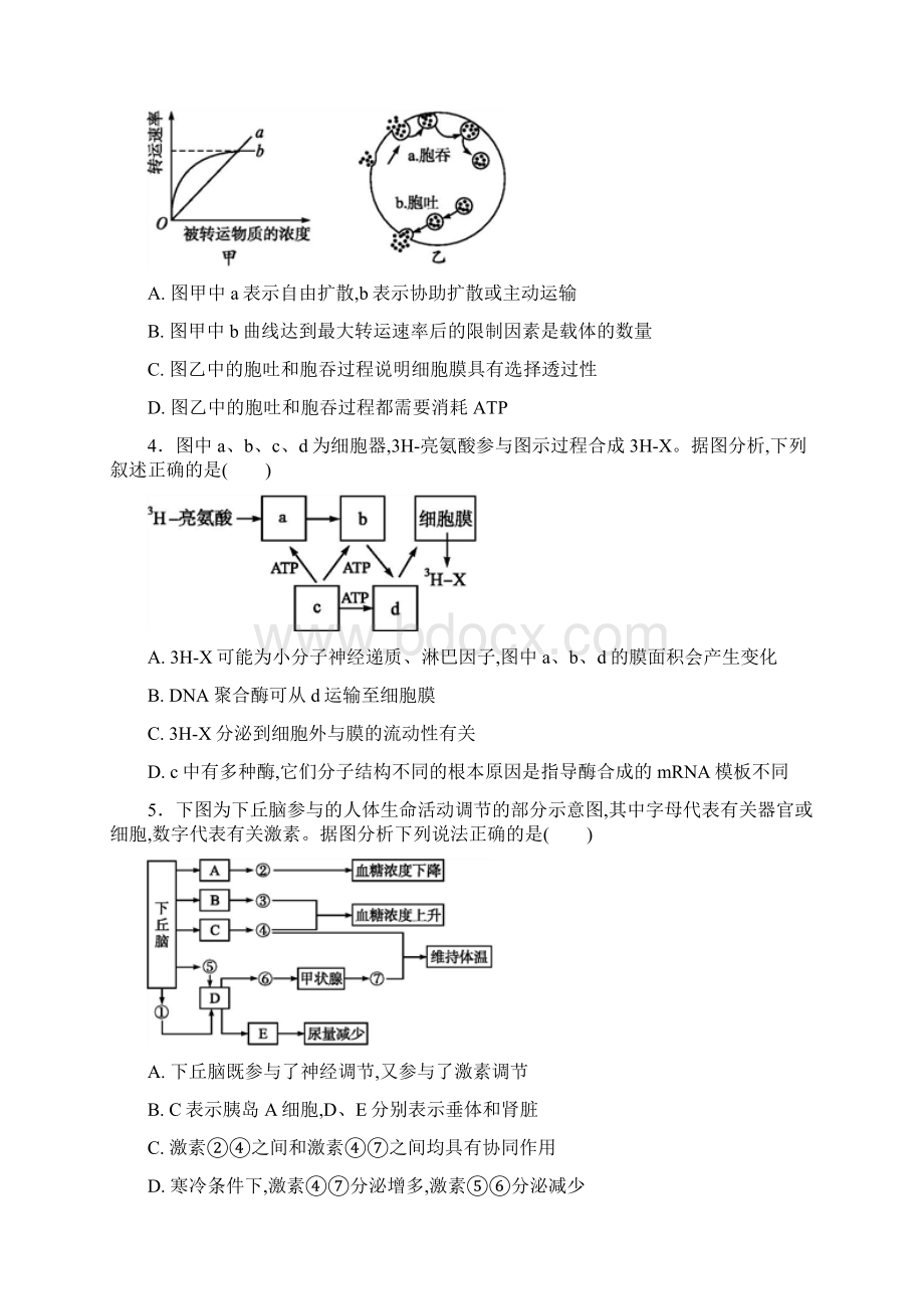 河北省定州市届高三生物上学期第二次月考试题承智班Word文档格式.docx_第2页