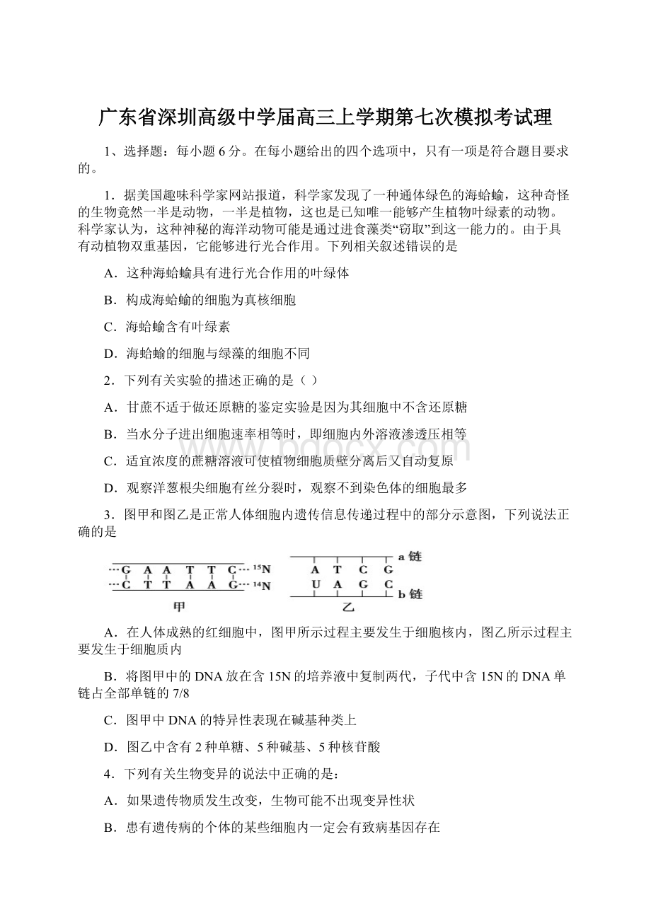 广东省深圳高级中学届高三上学期第七次模拟考试理Word文档格式.docx