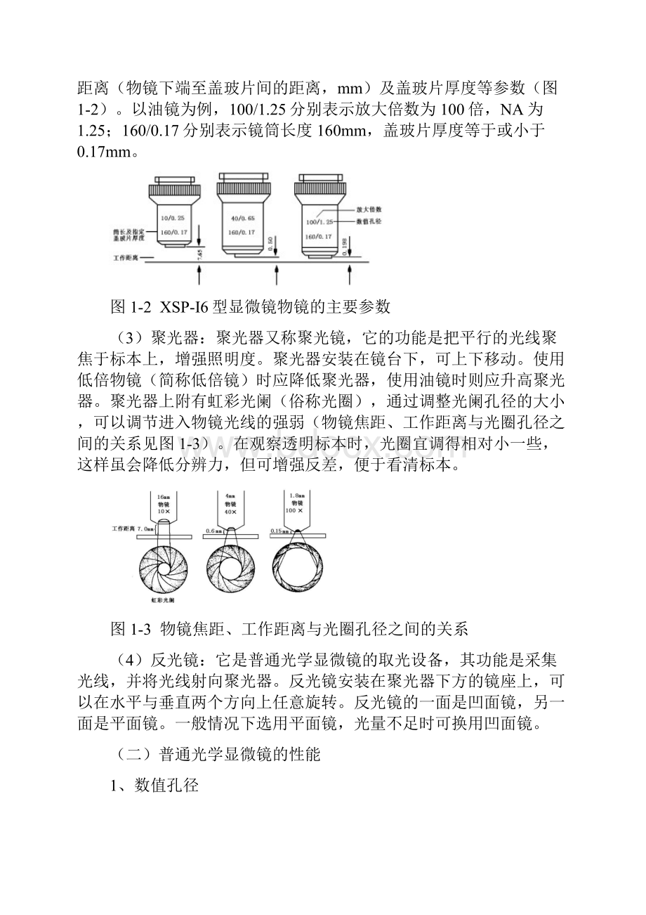 实验一光学显微镜的使用与微生物观察.docx_第3页