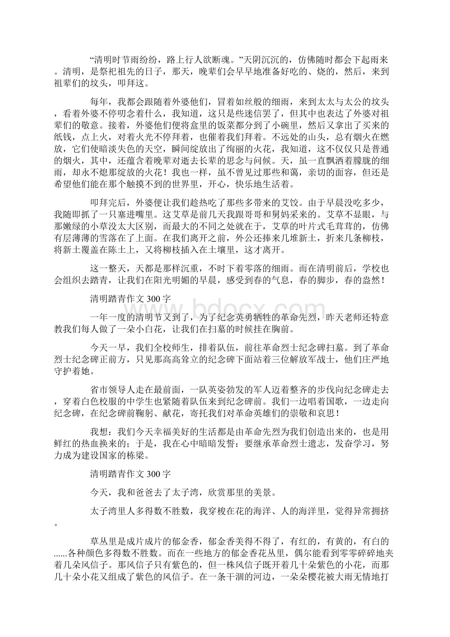 清明节作文450字 清明的作文450字.docx_第3页