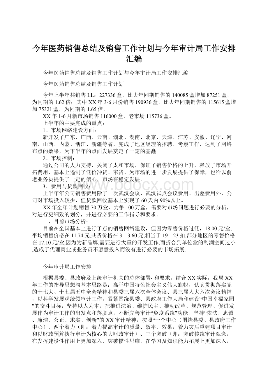 今年医药销售总结及销售工作计划与今年审计局工作安排汇编.docx