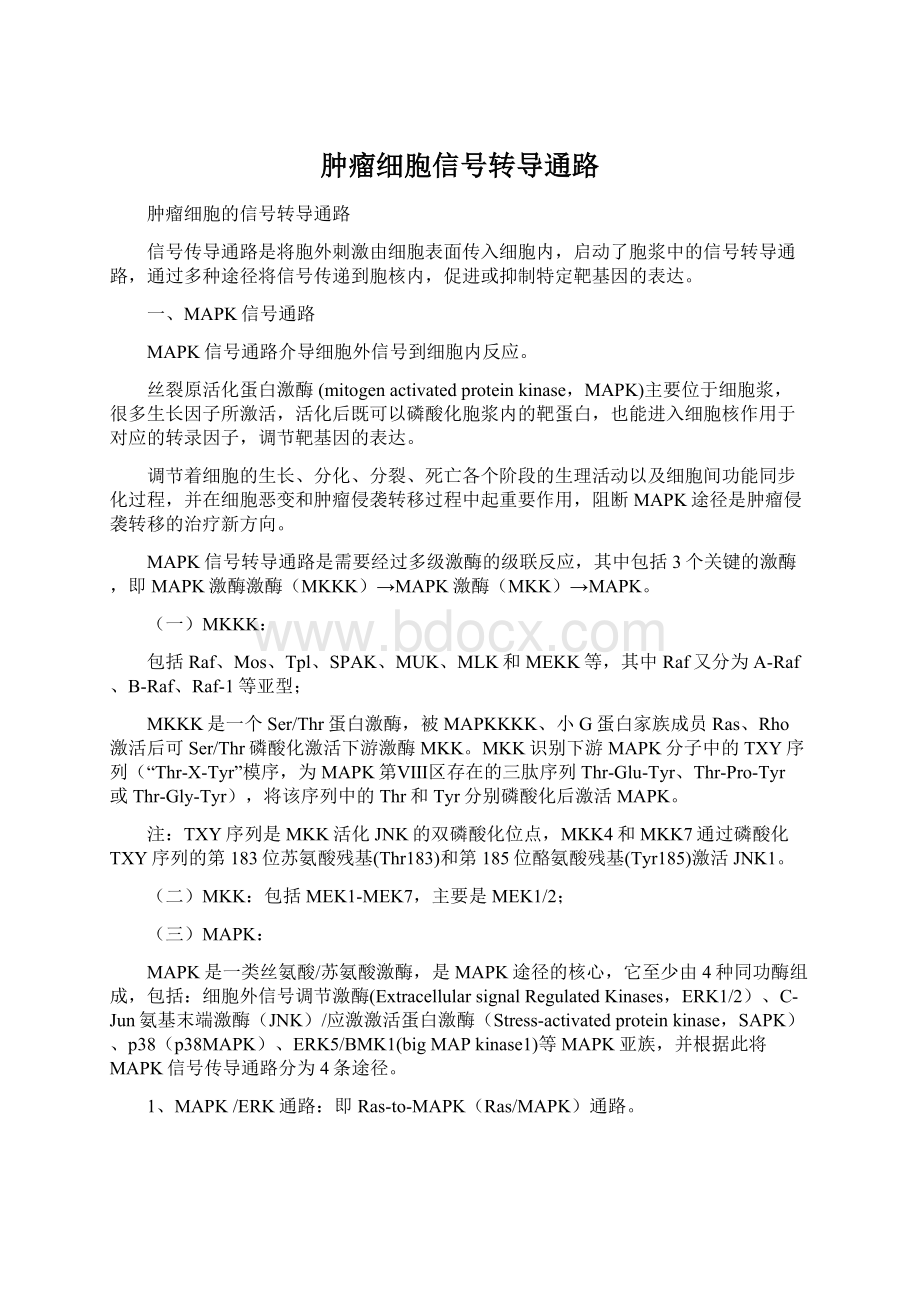 肿瘤细胞信号转导通路Word文档格式.docx